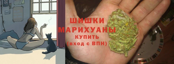 твердый Няндома