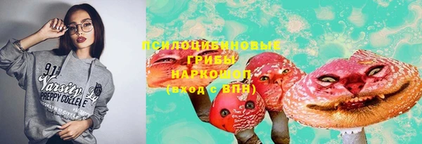 трава Нязепетровск