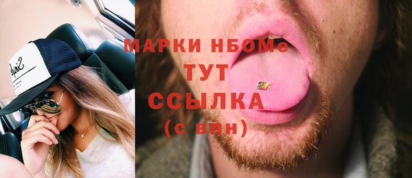 твердый Няндома