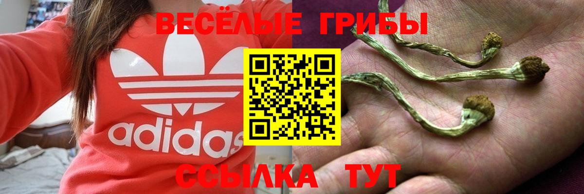 наркотики  Галлюциногенные грибы мицелий  Котельники  Псилоцибиновые грибы мицелий 